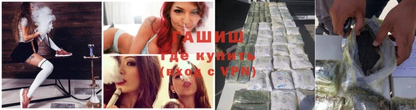 молекула духа Новодвинск
