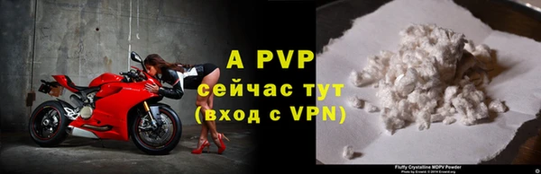молекула духа Новодвинск