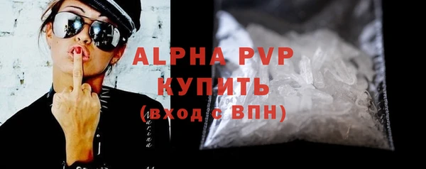 гашик Новокубанск