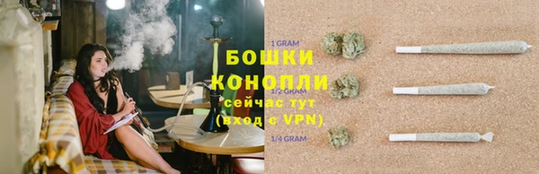 PSILOCYBIN Абаза