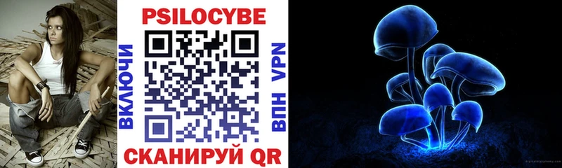 Псилоцибиновые грибы Magic Shrooms  купить закладку  даркнет как зайти  Алдан 