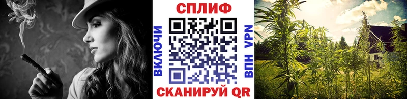 наркота  Алдан  МАРИХУАНА план 